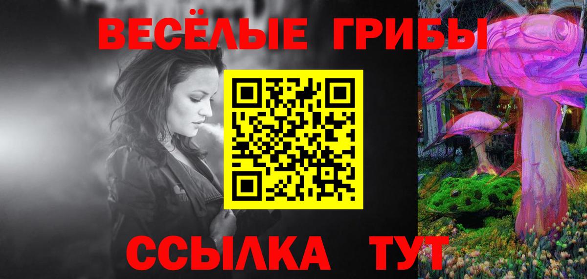 Псилоцибиновые грибы Psilocybine cubensis Ачинск