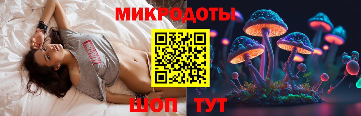 Галлюциногенные грибы Magic Shrooms  Псилоцибиновые грибы Psilocybe  Ачинск  где купить наркотик  Вход с VPN 